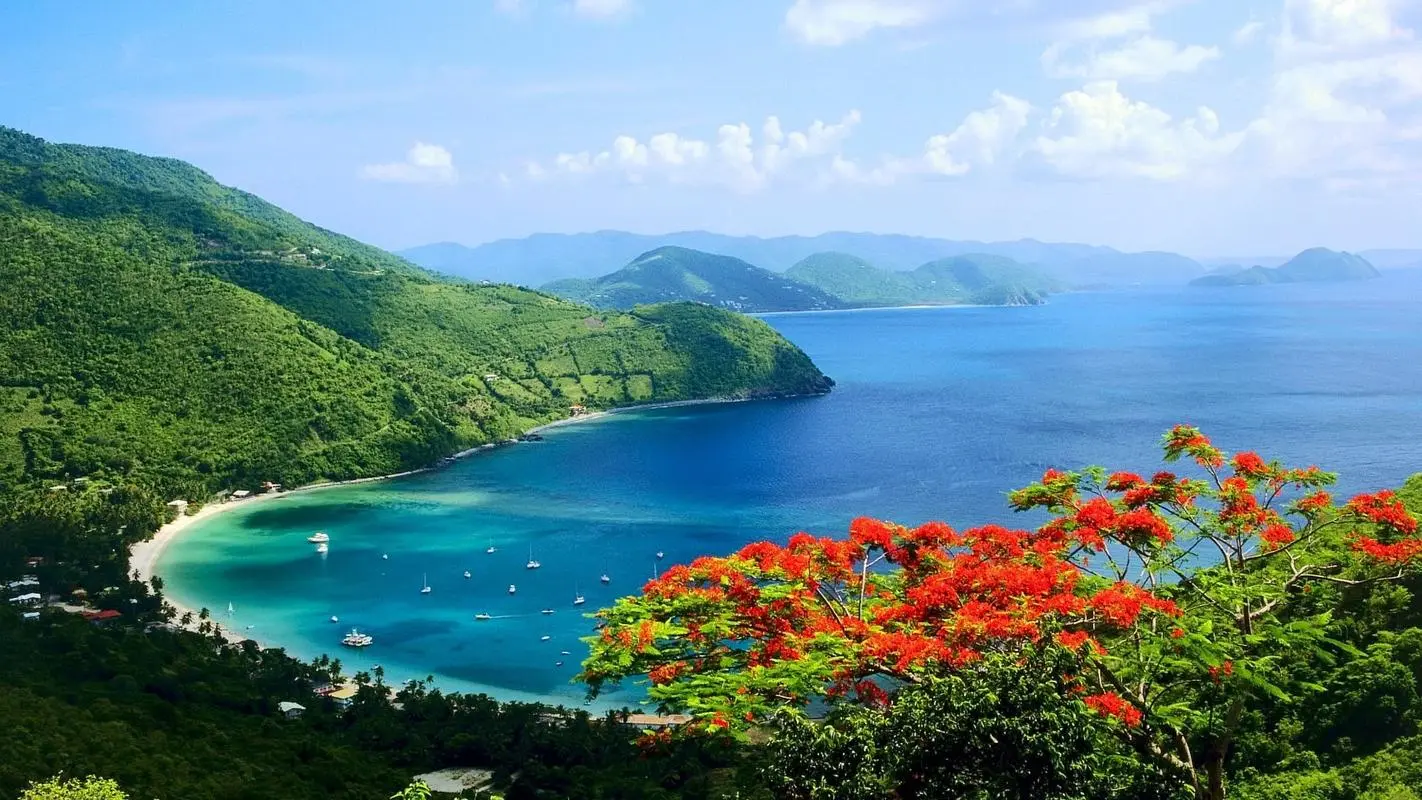 可靠性高效高性能